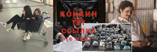 ALPHA PVP Бородино