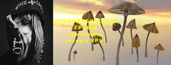 марки nbome Каменногорск