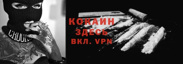 ALPHA PVP Бородино