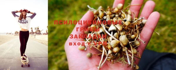 ALPHA PVP Бородино