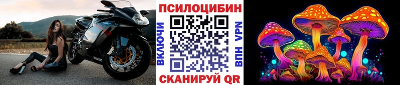 Псилоцибиновые грибы мухоморы  маркетплейс состав  Киреевск 