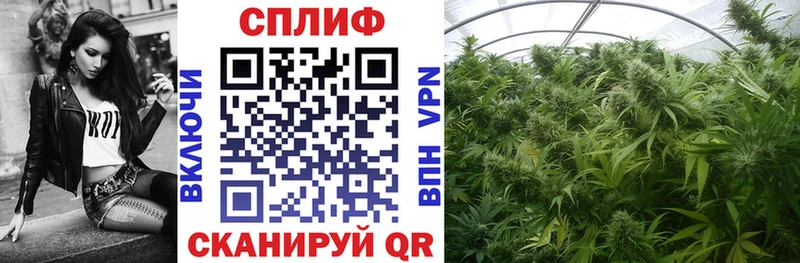 блэк спрут онион  хочу наркоту  Киреевск  Марихуана конопля 